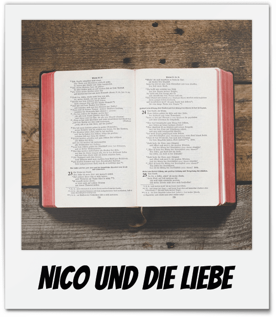 Nico und die Liebe ist der Kultklassiker unter den Romanen. Noch kein ganzes Buch aber dafür einzelne Kapitel findet ihr hier.